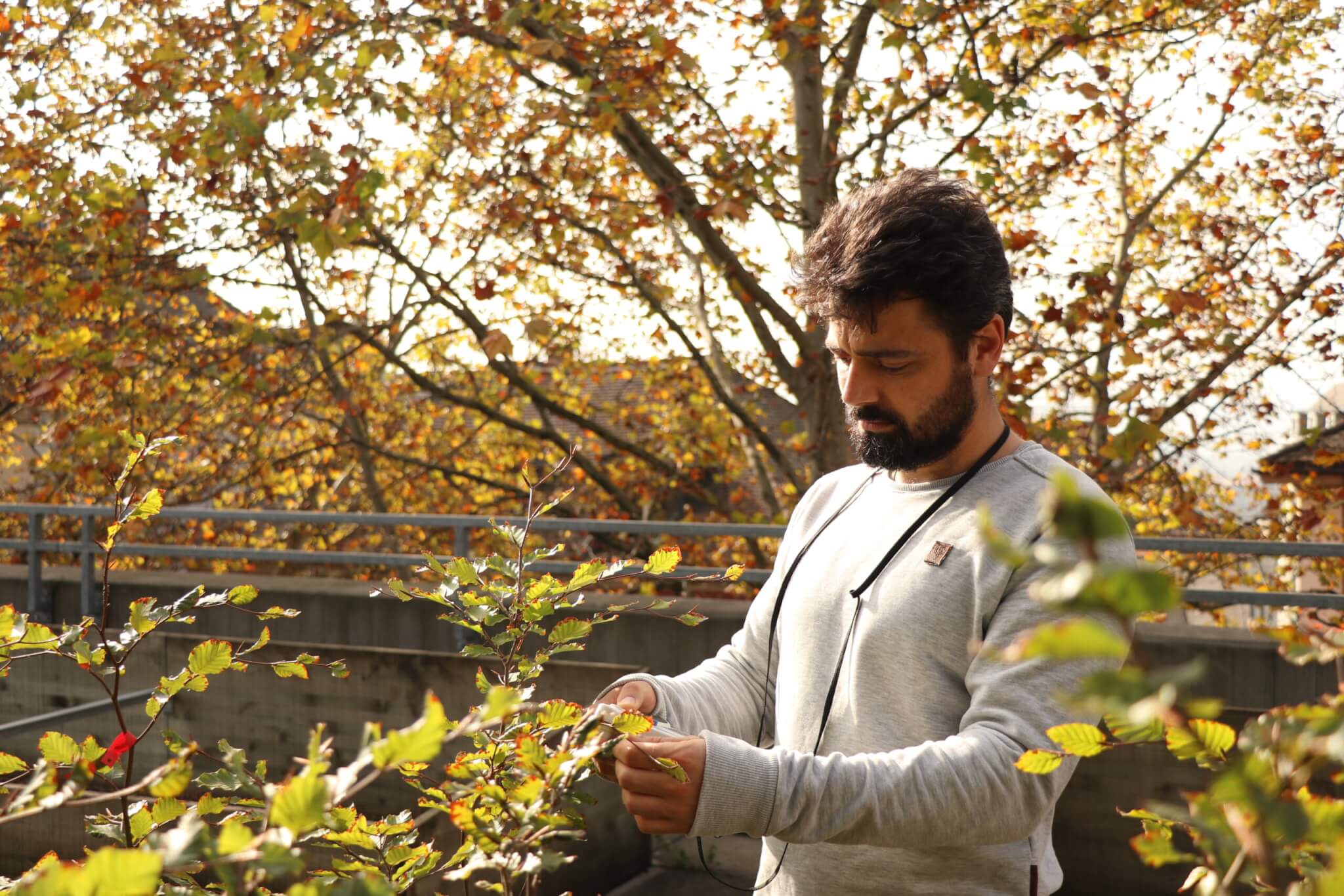 Constantin Zohner, phenology expert at the Crowther Lab, checking up on an experiment. on the ETH Zürich terrace.