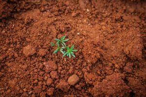 A view from above: the global soil community