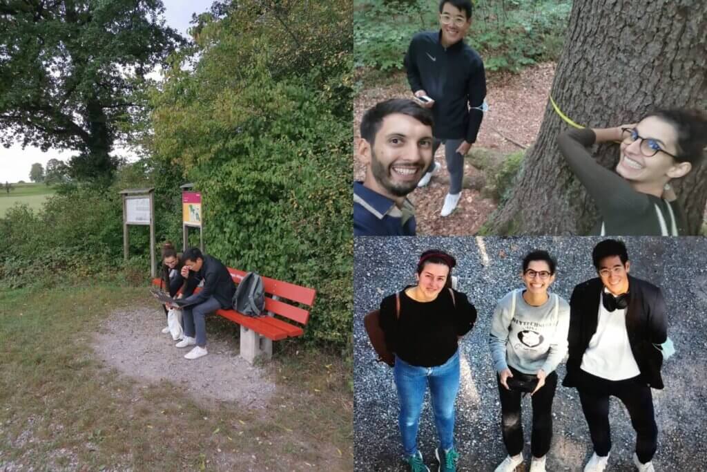 Photo collage of Crowther Lab and DS3 Lab members gathering test data in the forest.