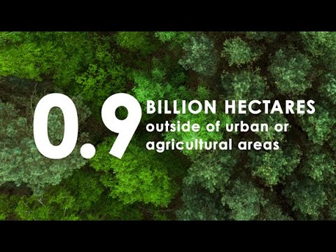 The Global Tree Restoration Potential - Crowther Lab