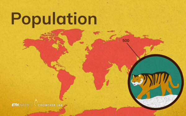 Population_web