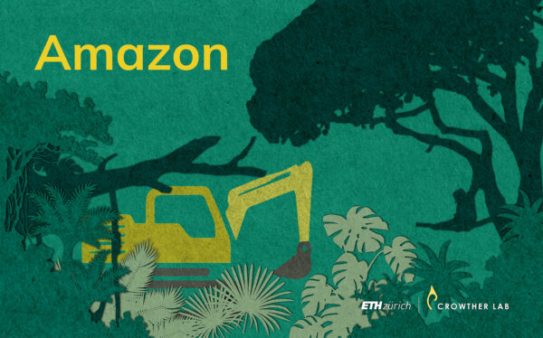 amazon_web