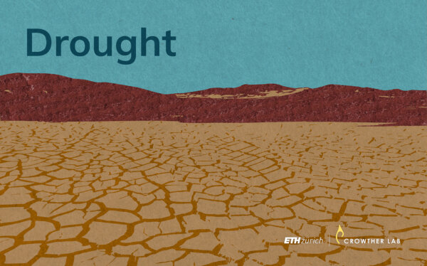drought_web