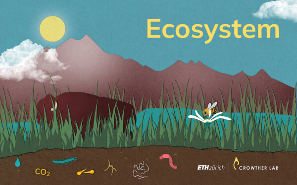 ecosystem_web