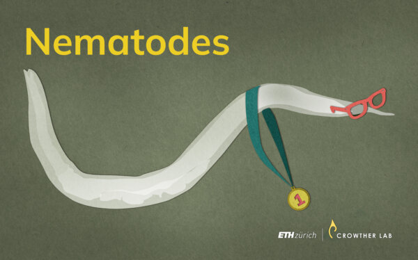 nematodes_web