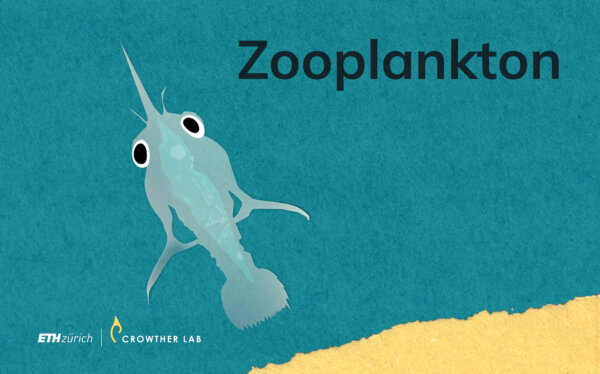 zooplankton_web