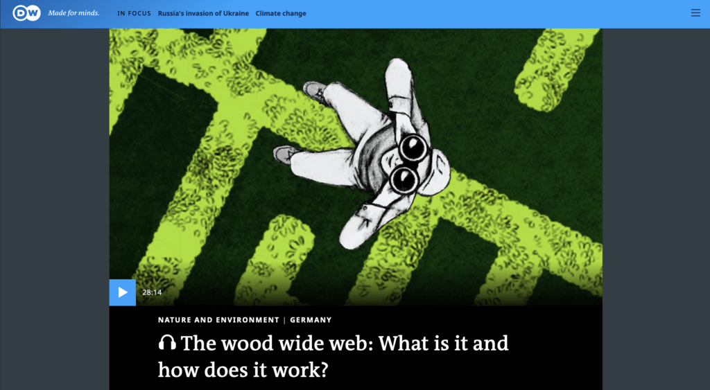 The wood wide web: What is it and how does it work?