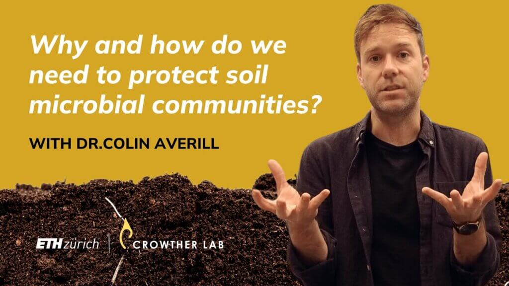 Why and how should we protect the soil microbiome? | Q&A with Dr. Colin Averill