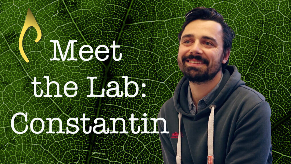 Meet the Lab – Dr. Constantin Zohner