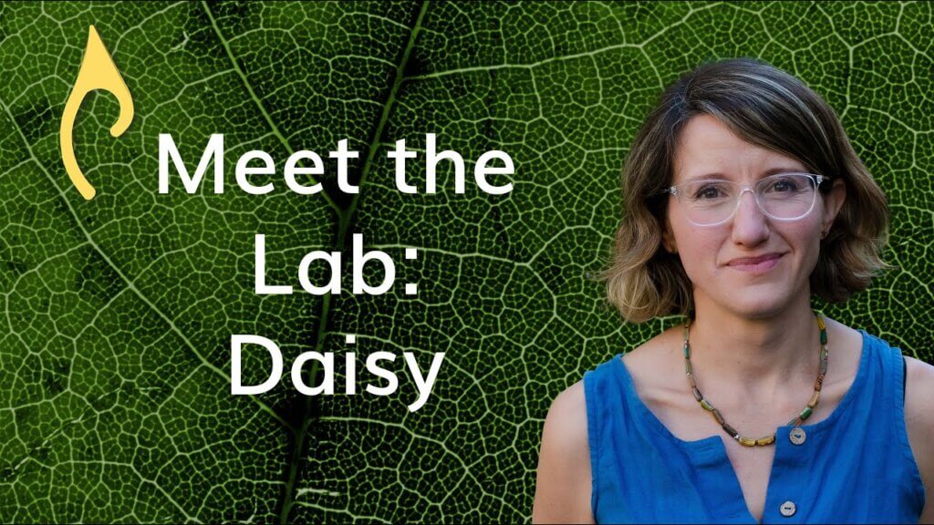 Meet the Lab – Dr. Daisy Dent
