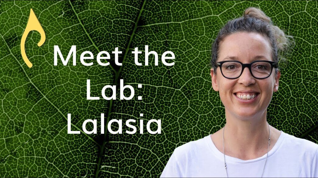 Meet the Lab – Dr. Lalasia Bialic-Murphy