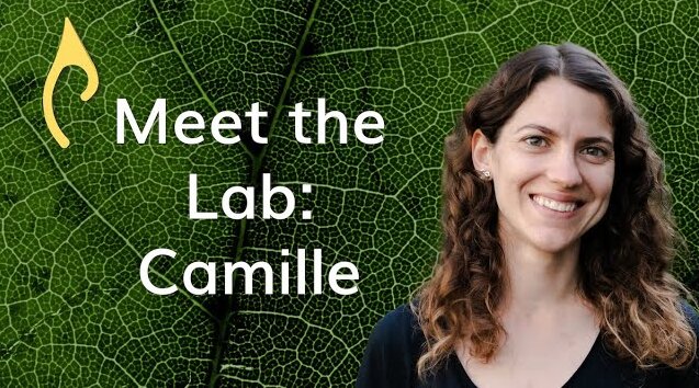 Meet the Lab – Dr. Camille Delavaux