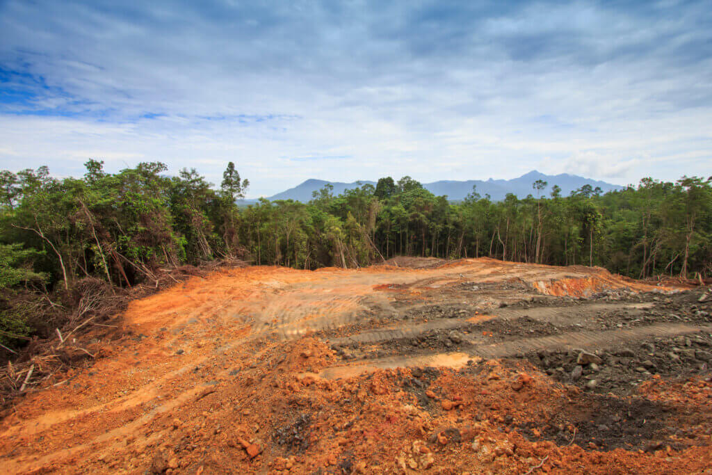Threat of regeneration failure: logging is endangering the next generation of trees in rainforests