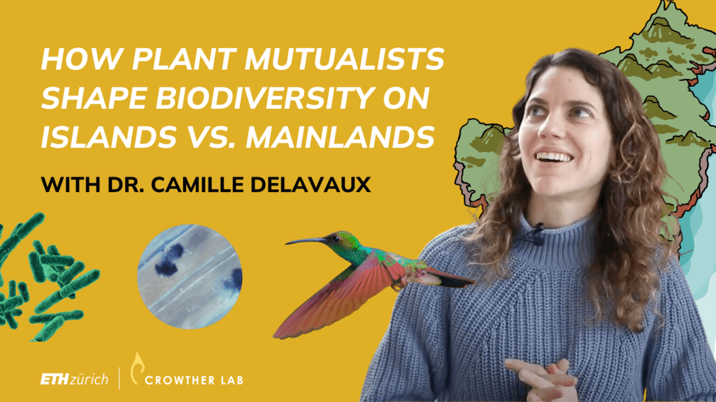 How plant mutualists shape biodiversity on islands vs. mainlands | Q&A with Dr. Camille Delavaux