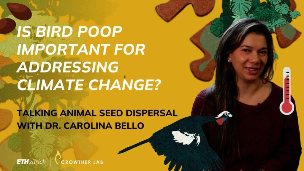 Q&A: Talking animal seed dispersal & forest restoration with Dr. Carolina Bello