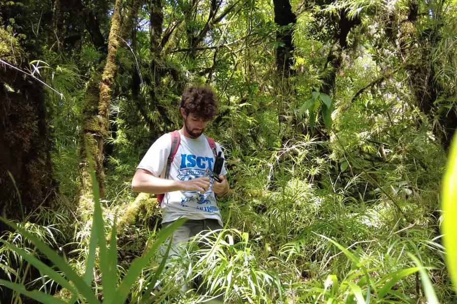 How an audacious sonic survey could help revive damaged rainforests
