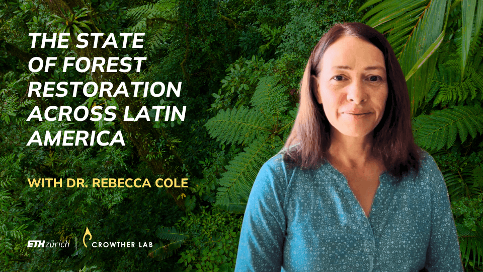 The State of Forest Restoration across Latin America | Q&A with Dr. Rebecca Cole