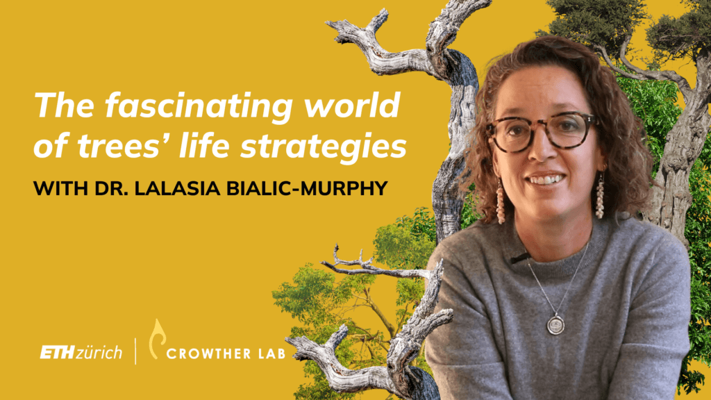 The fascinating world of trees' life strategies | Q&A with Dr. Lalasia Bialic-Murphy