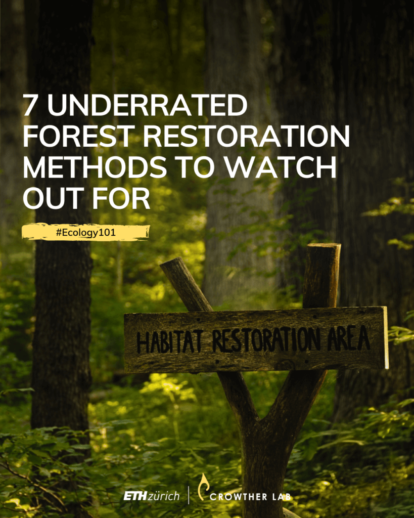 7 Underrated Forest Restoration Methods to Watch out for | #Ecology101