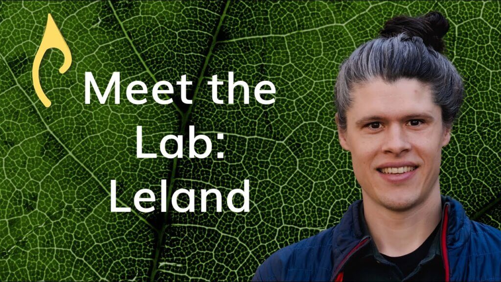 Meet the Lab – Dr. Leland Werden